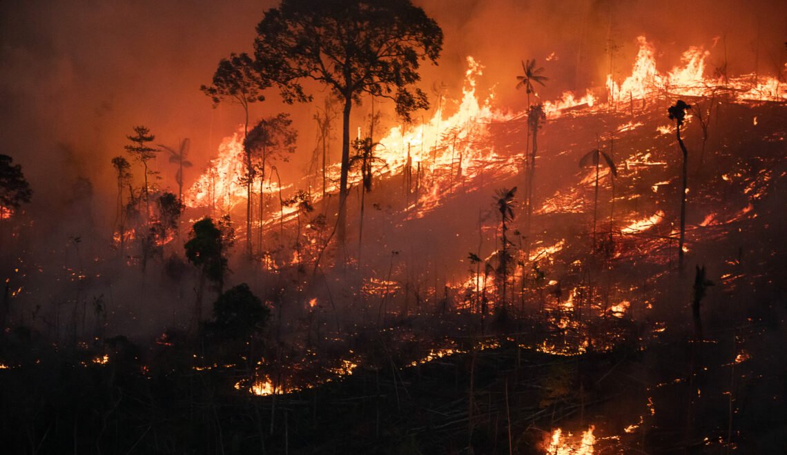 SALVEM A AMAZÔNIA